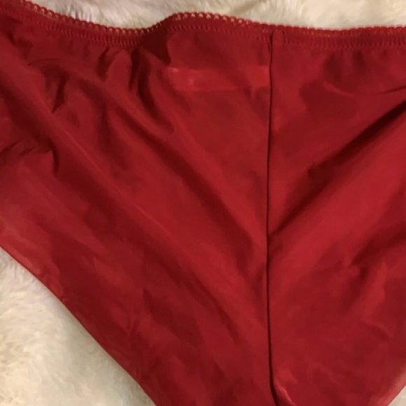 Adore Me Chelsey Cheeky Panties 2 Pair New! - Picture 2 of 10